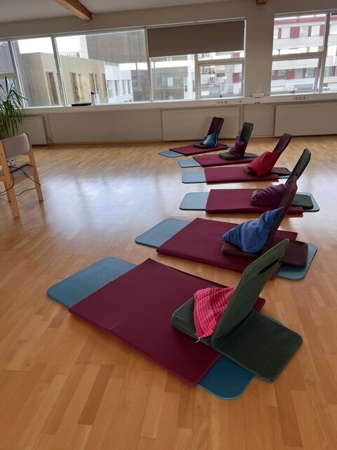 The training studio in Reykjavik with mats laid out