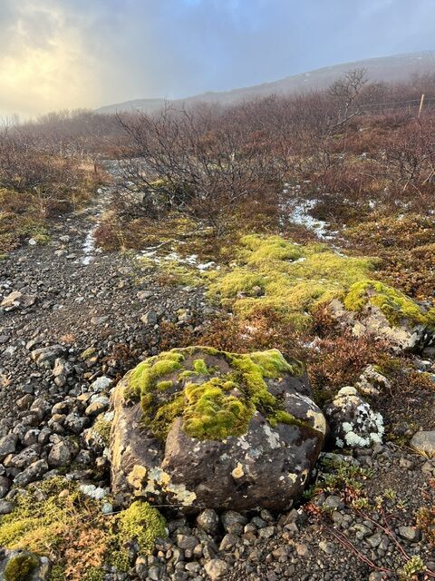 Iceland landscape